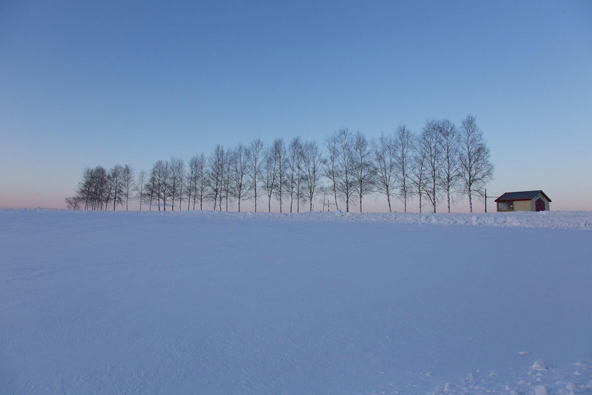 冬の北海道