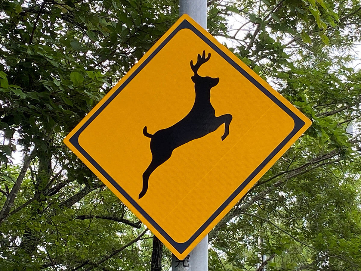 鹿注意の標識