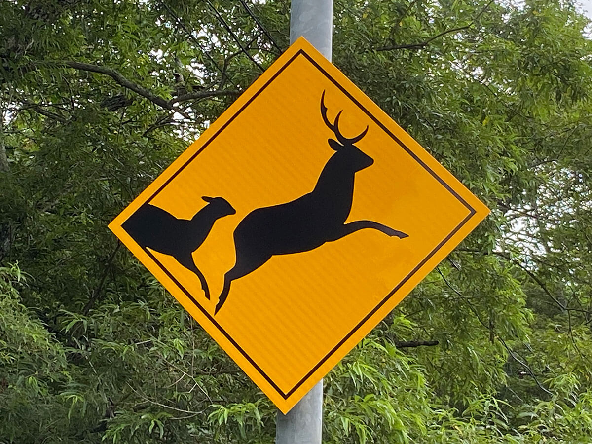 鹿注意の標識、親子