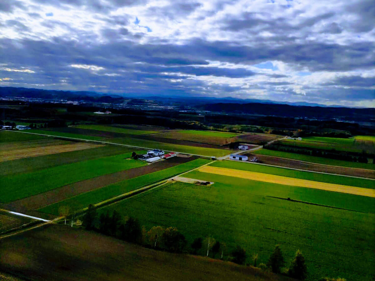 飛行機から見える北海道の景色