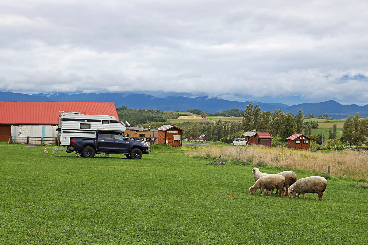 草原と羊とキャンピングカー