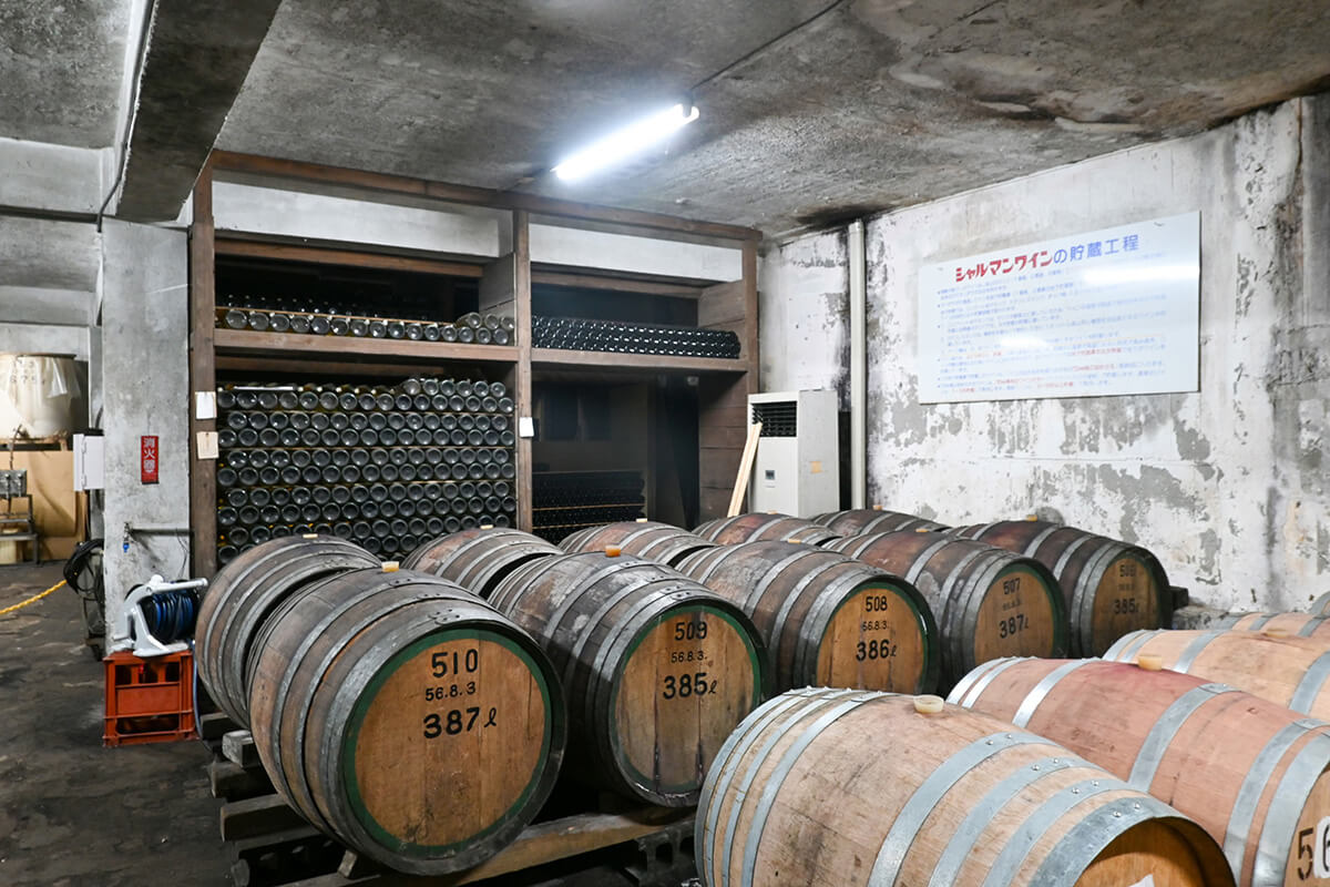ワイナリー「シャルマンワイン」のワイン製造工程
