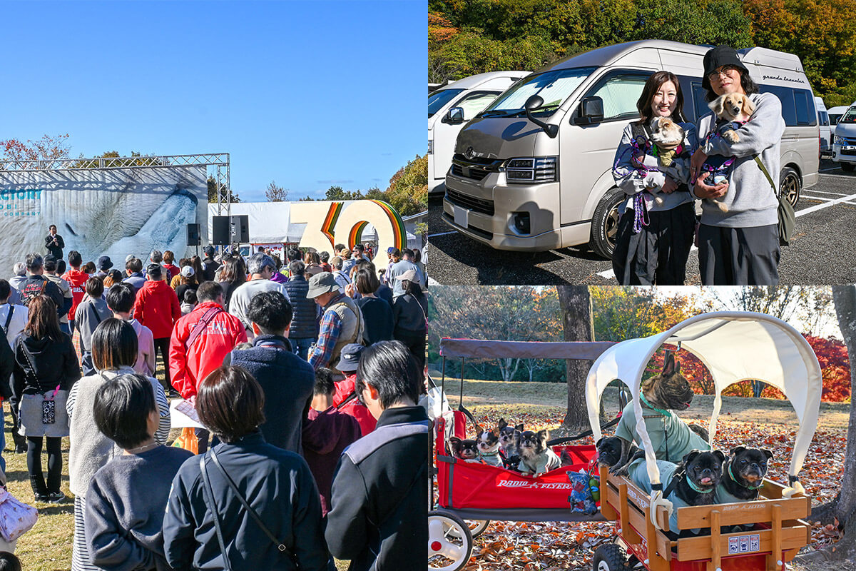 ペットと楽しむキャンピングカーのある週末。トイファクトリーキャンプ大会で聞いたオーナー目線の使い方と暮らし