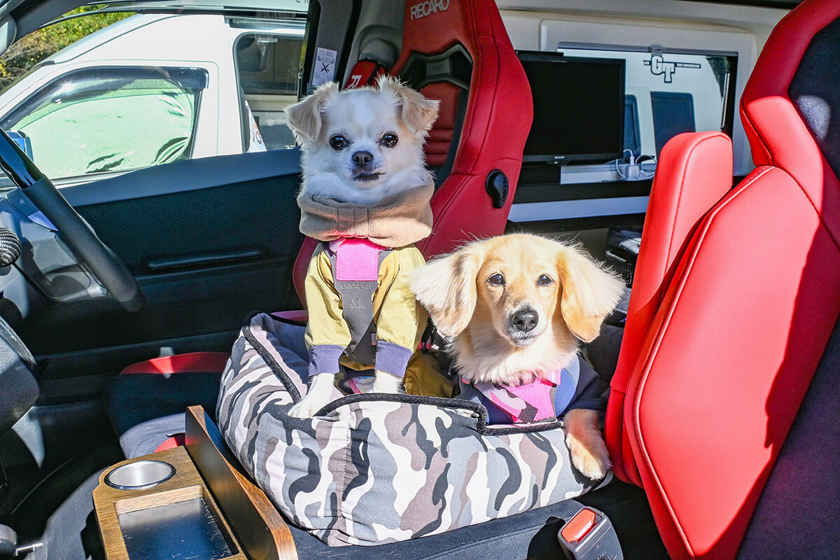 澤野さんの愛犬達